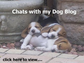Chats with my Dog Blog